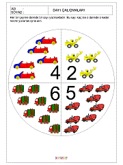 kavram gelişim çalışmaları sayılar